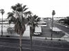 LRM_EXPORT_20180621_190212.jpeg