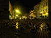 IMG_1536896475.006581.jpg
