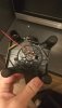 IMG-20181225-WA0016.jpg
