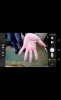 screengrab-20190118-135230.jpeg