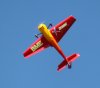Woodburn bigbird 6 26 10 336.jpg