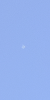 DSC_1950.png
