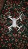 20190211_110134.jpeg