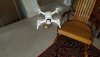 20190212_094246.jpeg