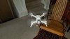 20190212_094248.jpeg