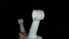20190218_092945.jpeg