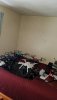 20190218_152114.jpeg