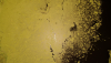 YUN00002.mp4_000052218.png