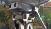 20190603_075852.jpg