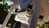 20190603_080129.jpg