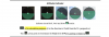 Screen Shot 2019-06-18 at 3.22.03 PM.png