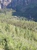 IMG_20190815_163752171.jpg