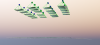 2.PNG