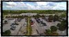 Publix-psfs-p6s_sgwb - frame.jpg