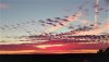Best Sunset.jpg