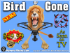 Bird B Gone.png