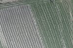 YUN_0009.JPG