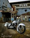 Dude_84 Harley_Signature_Resized 1920 - Copy.jpg
