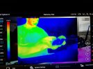 Thermal picture.jpg