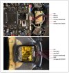 H Plus GPS Pinout.jpg