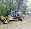 buggy.jpg