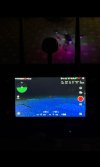 IMG_4035.jpeg