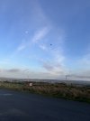 IMG_4079.jpeg