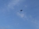 IMG_4081.jpeg