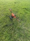 IMG_4457.jpeg