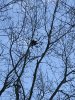 IMG_0778.JPG