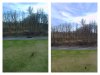 photo compare.jpg