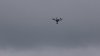THaboveGhostTree-Zoom-2.jpg