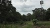 GhostTreeat600feet-THabove-2.jpg