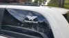 Decal.jpg