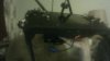 My Snapshot_9.jpg