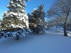 IMG_1525500548.383137.jpg