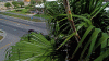 YUN00006a3.gif